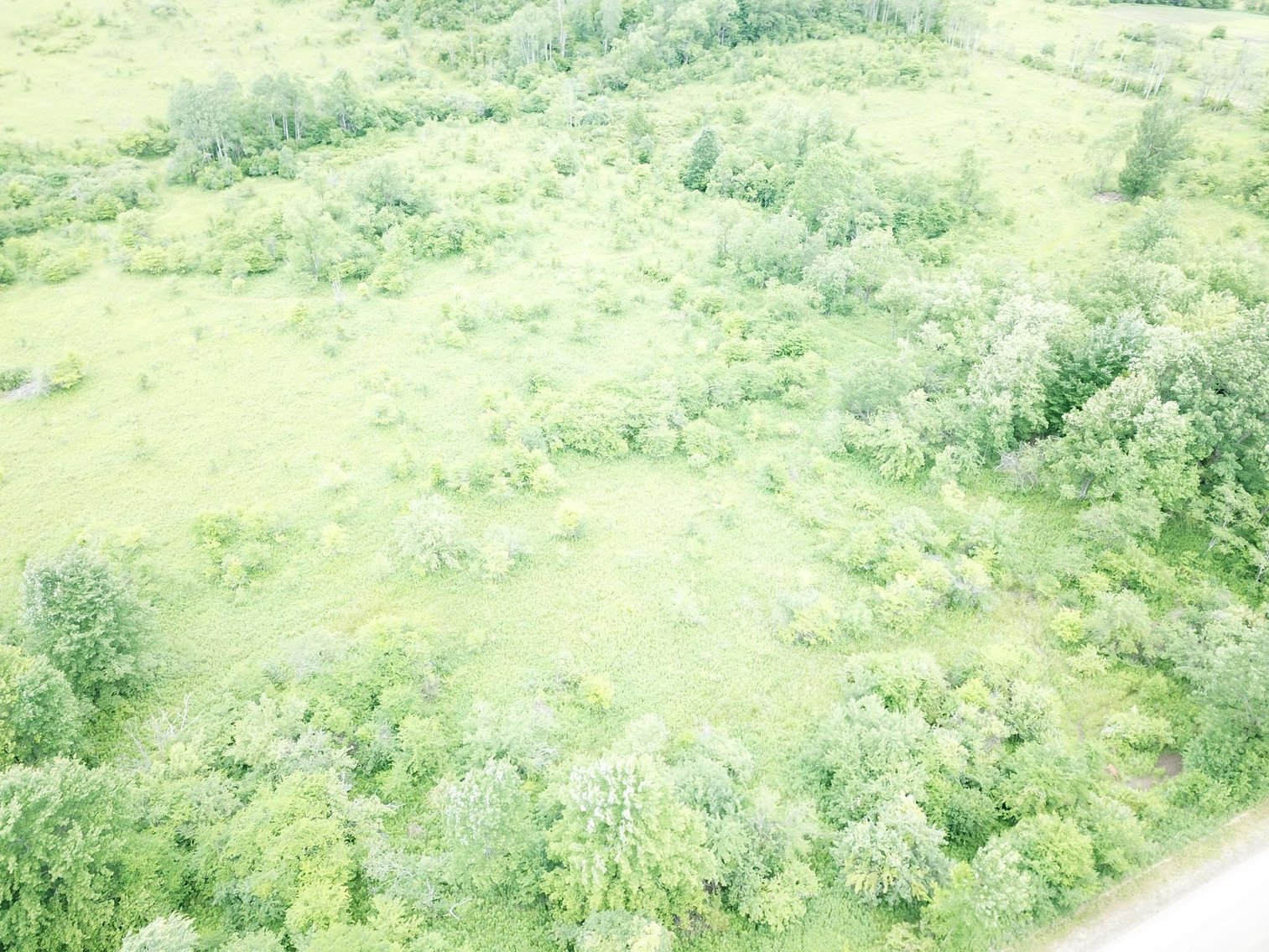 Image for SOLD - Large Tracts of Land Sold to the Highest Bidders