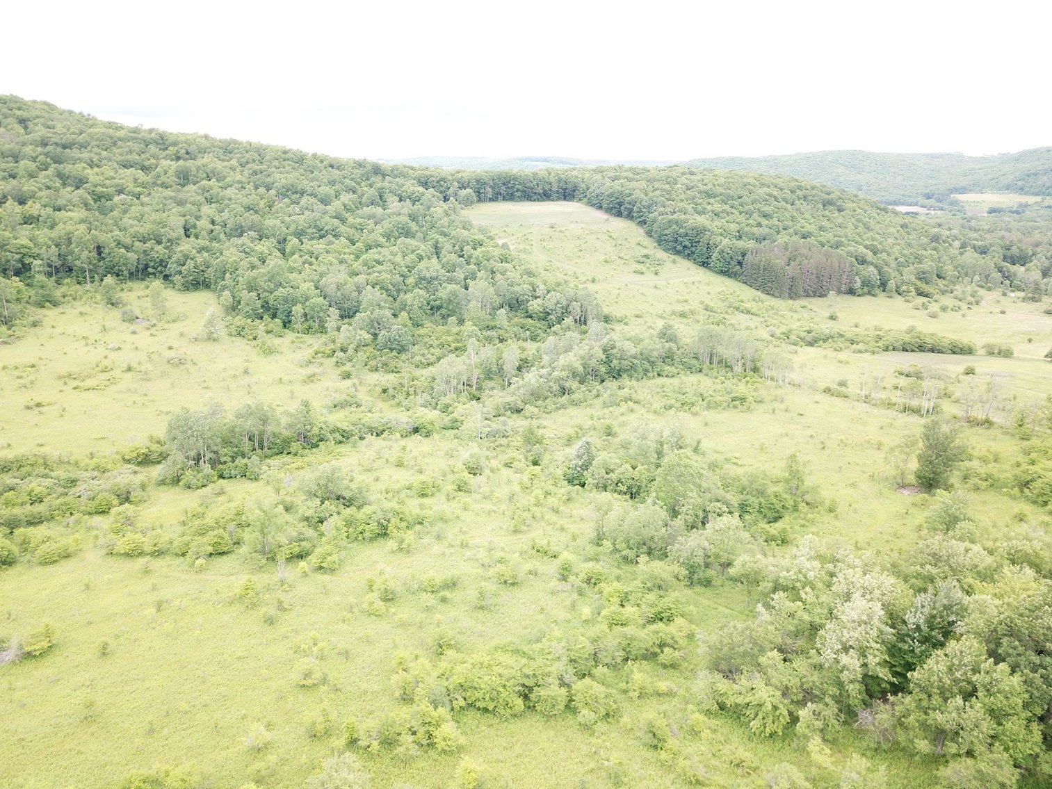 Image for SOLD - Large Tracts of Land Sold to the Highest Bidders