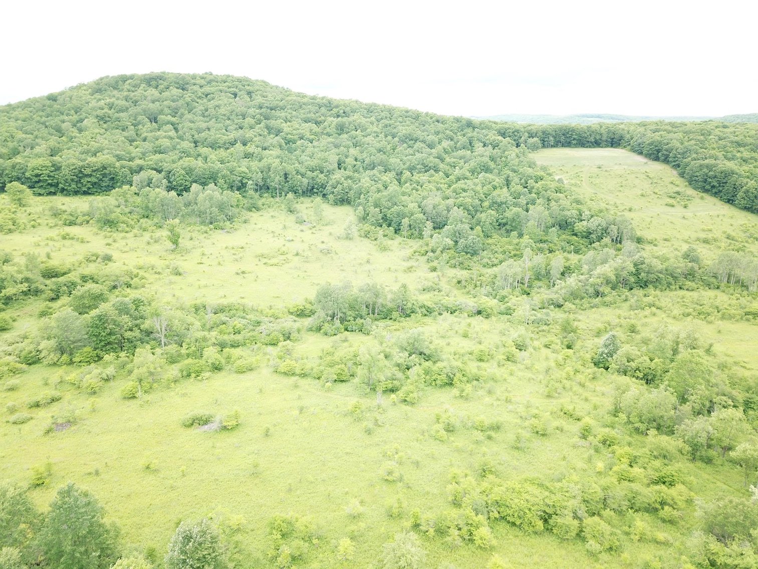 Image for SOLD - Large Tracts of Land Sold to the Highest Bidders