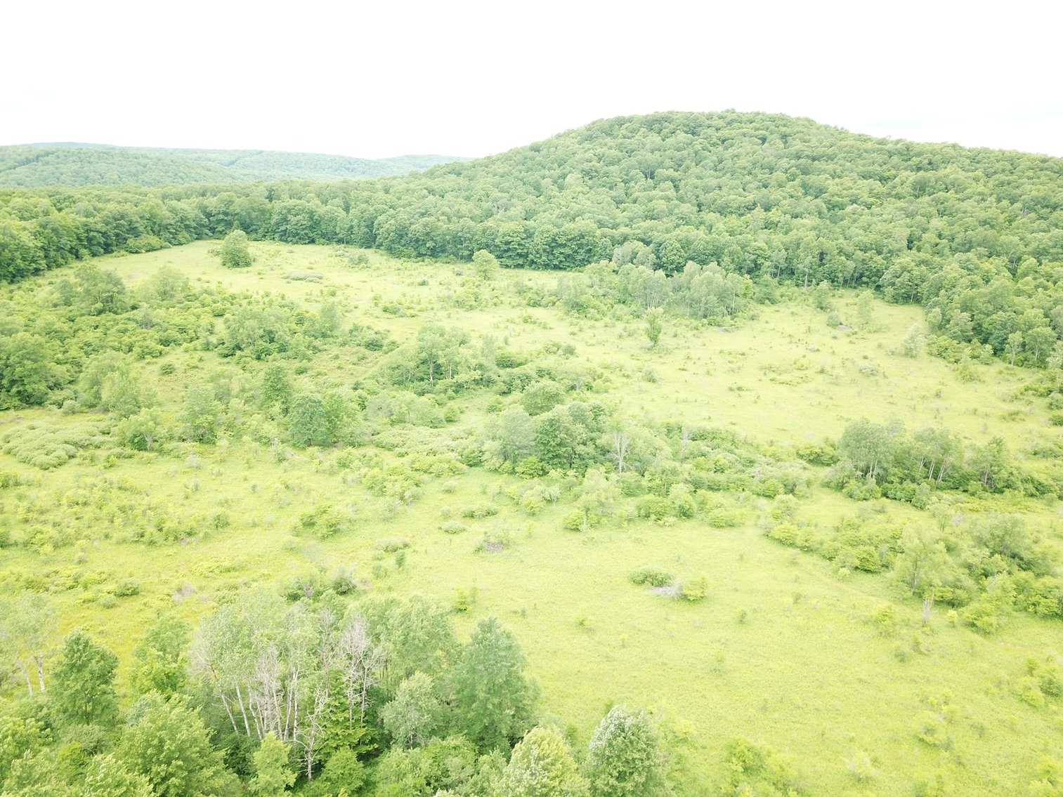 Image for SOLD - Large Tracts of Land Sold to the Highest Bidders