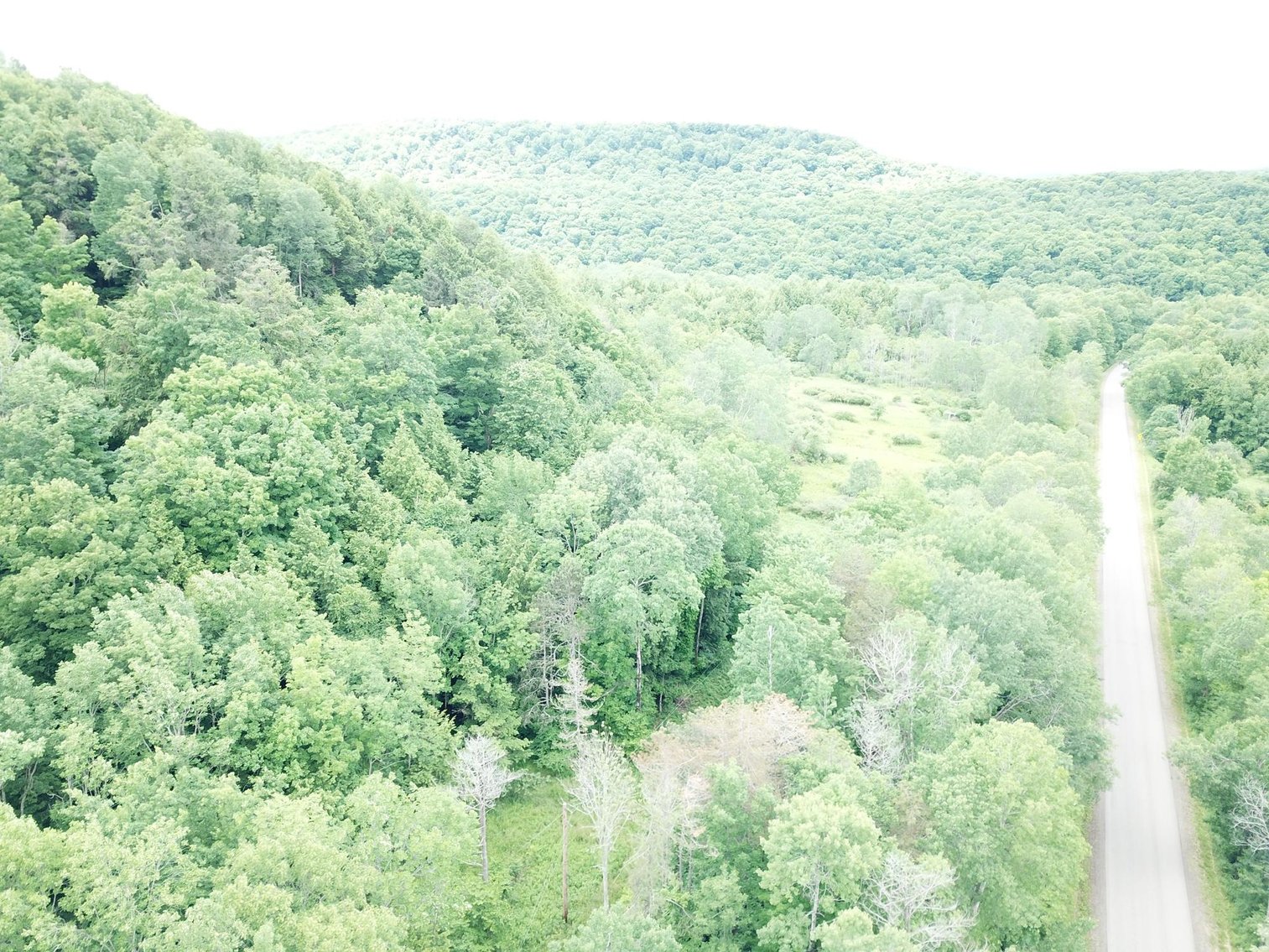 Image for SOLD - Large Tracts of Land Sold to the Highest Bidders