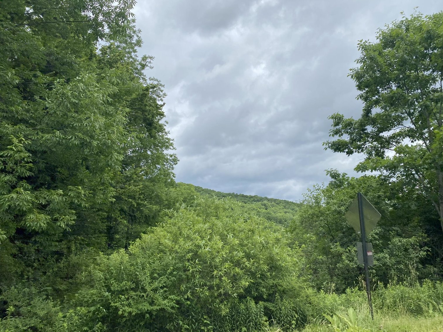 Image for SOLD - Large Tracts of Land Sold to the Highest Bidders