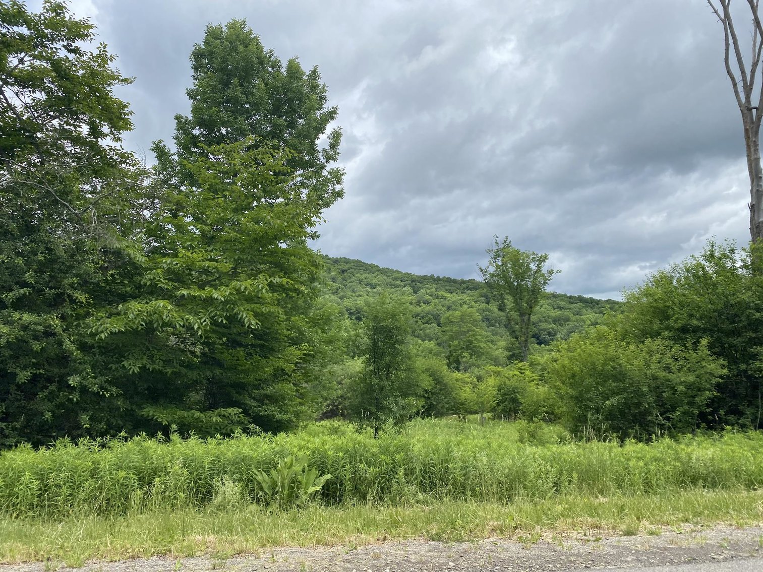 Image for SOLD - Large Tracts of Land Sold to the Highest Bidders