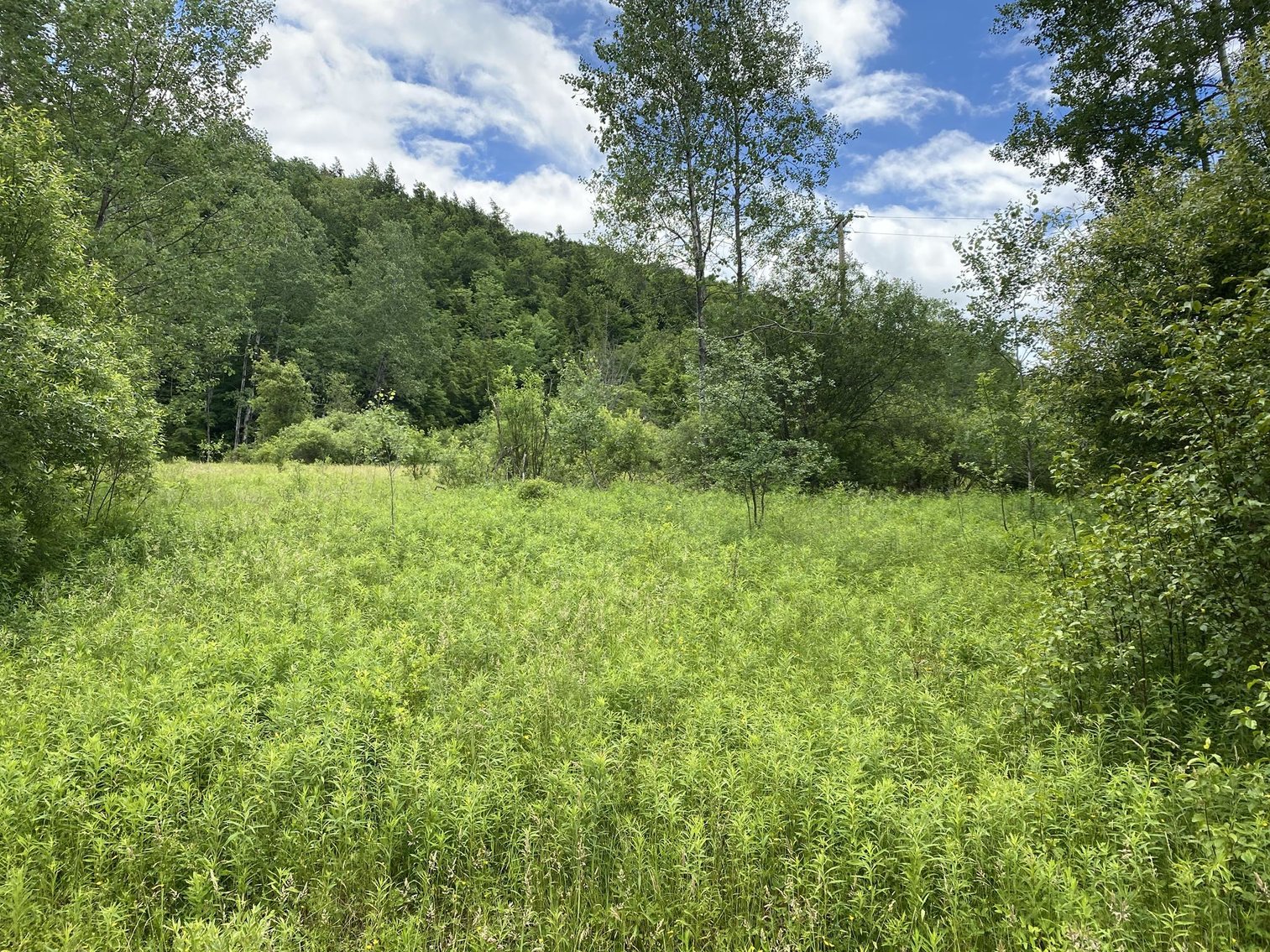 Image for SOLD - Large Tracts of Land Sold to the Highest Bidders