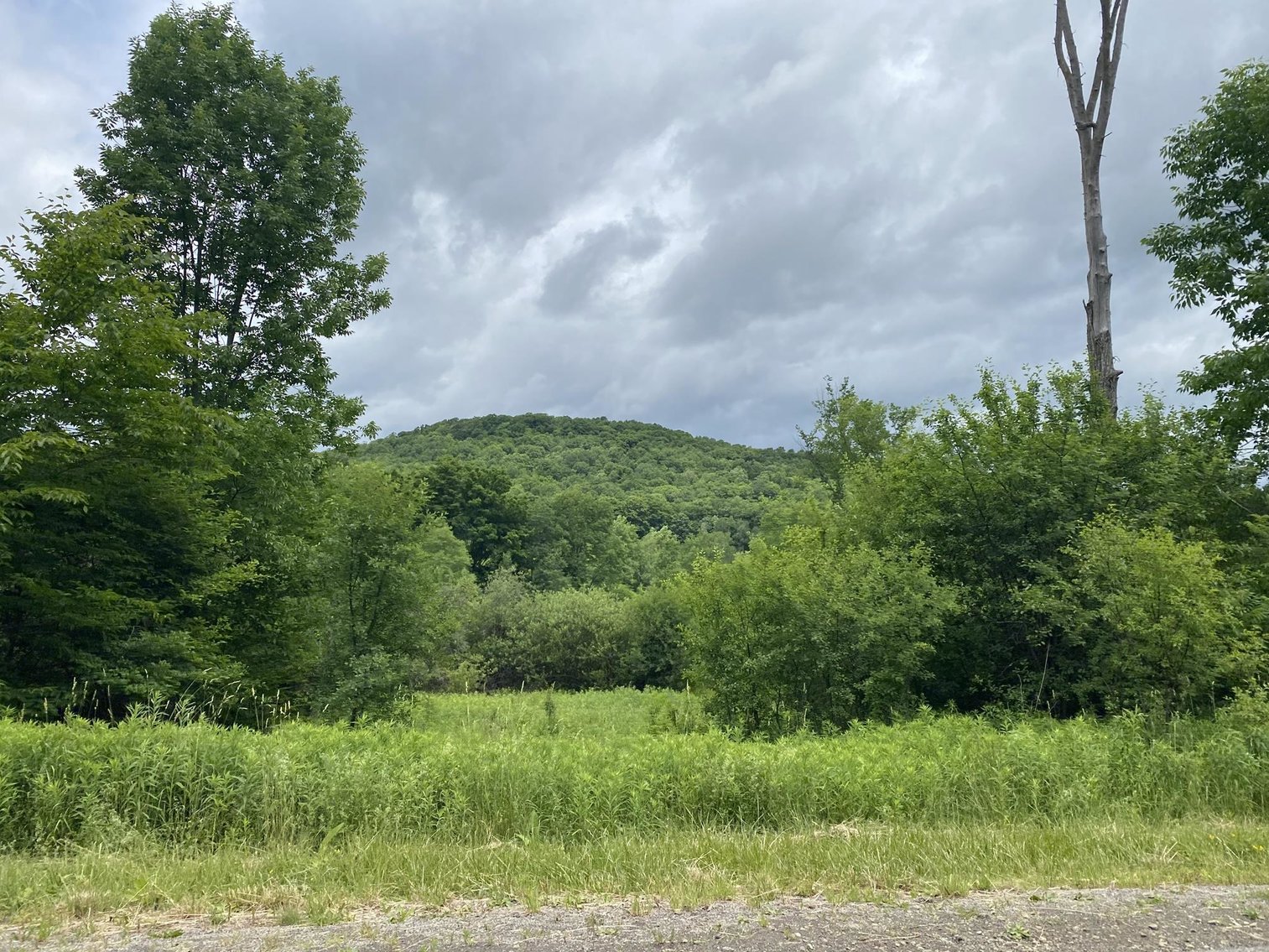 Image for SOLD - Large Tracts of Land Sold to the Highest Bidders