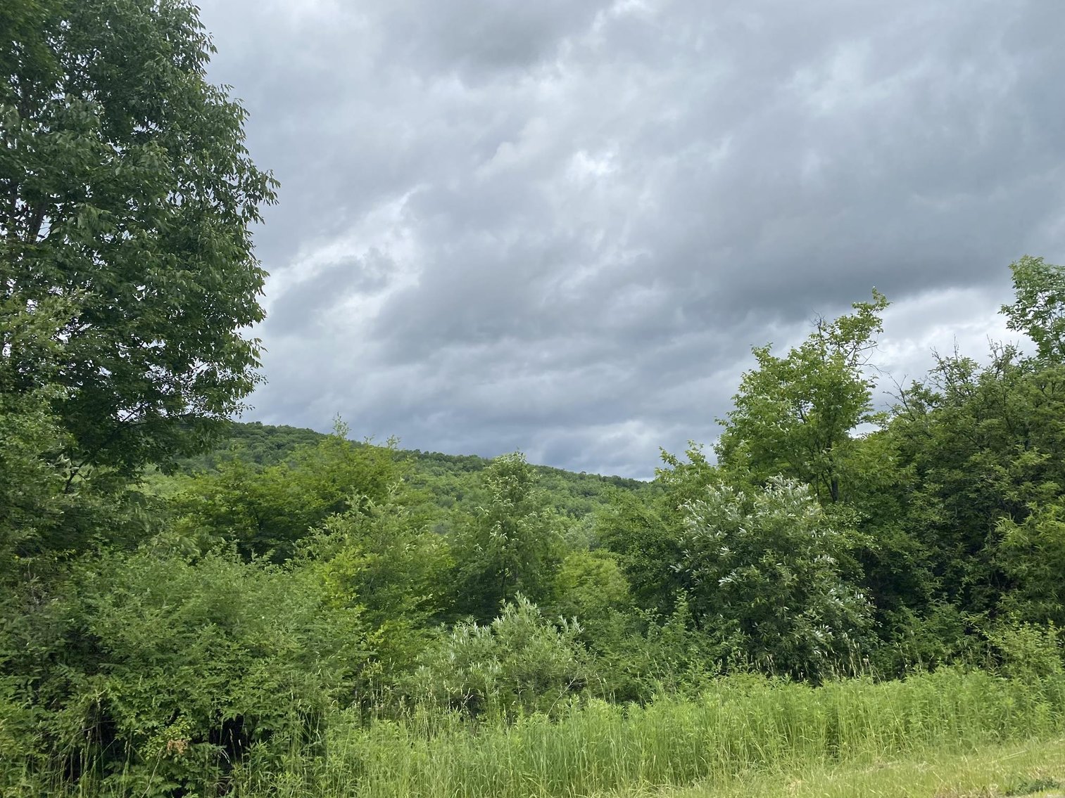 Image for SOLD - Large Tracts of Land Sold to the Highest Bidders