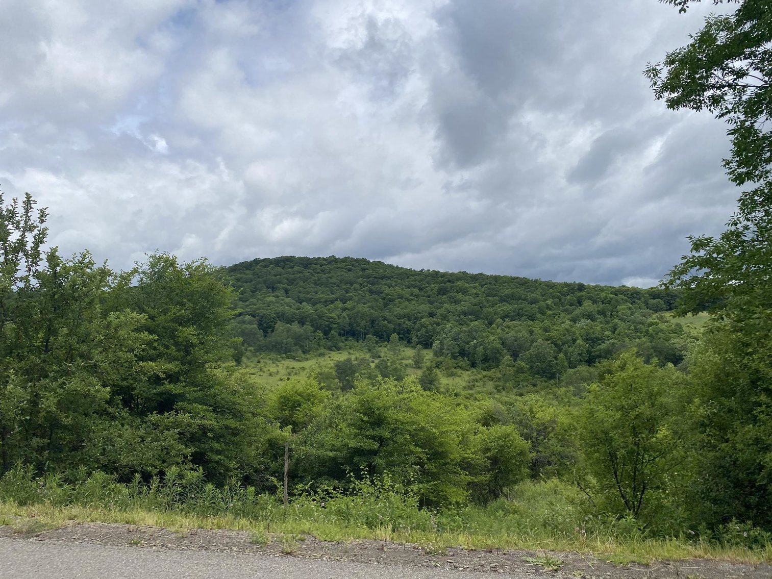 Image for SOLD - Large Tracts of Land Sold to the Highest Bidders