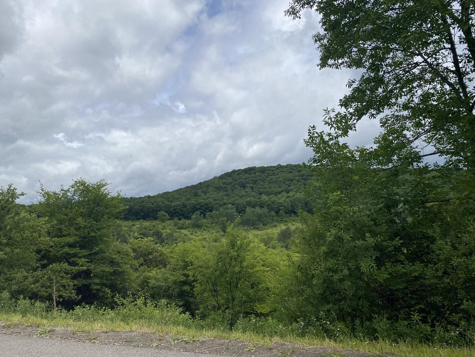 Image for SOLD - Large Tracts of Land Sold to the Highest Bidders