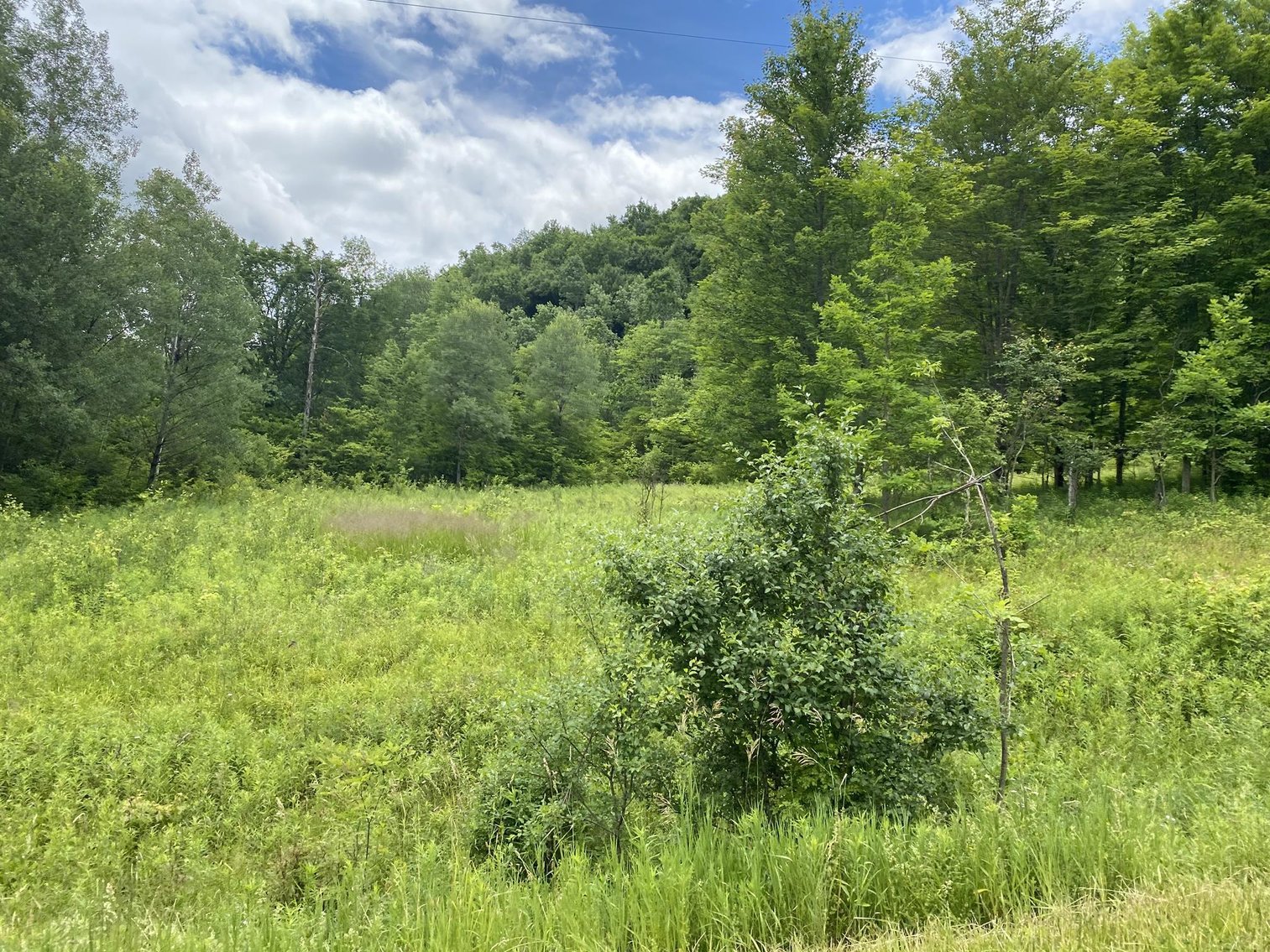 Large Tracts of Land Sold to the Highest Bidders