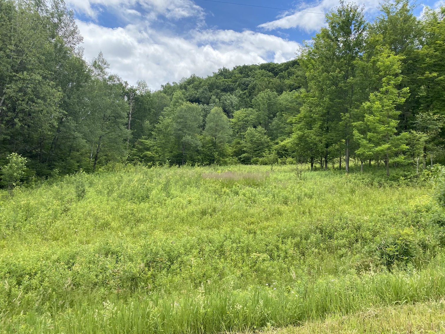 Image for SOLD - Large Tracts of Land Sold to the Highest Bidders