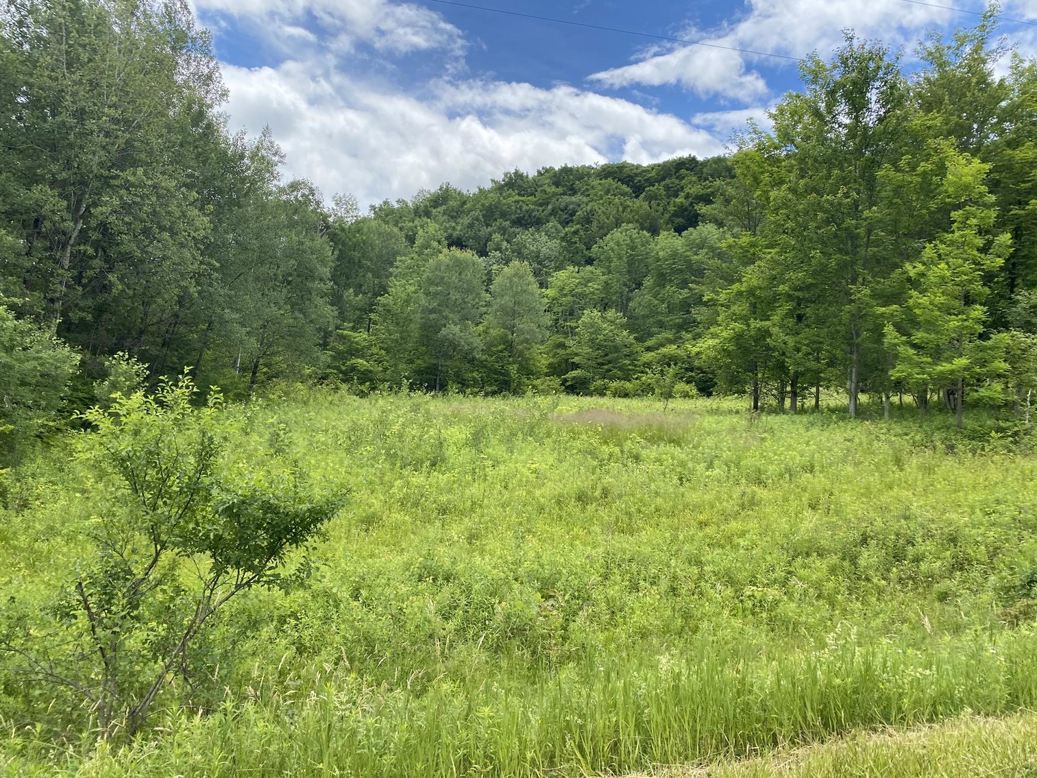 Image for SOLD - Large Tracts of Land Sold to the Highest Bidders