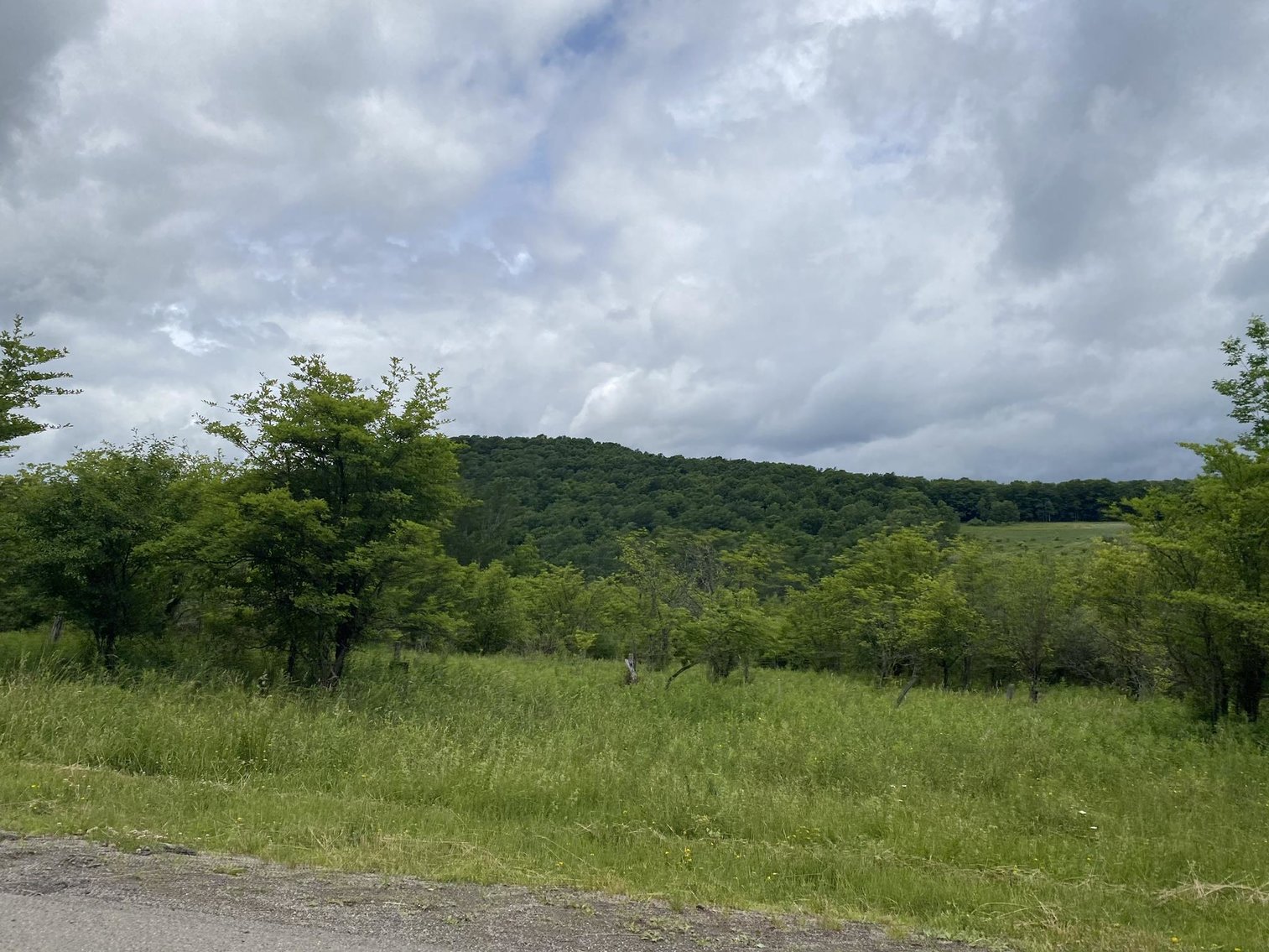 Image for SOLD - Large Tracts of Land Sold to the Highest Bidders