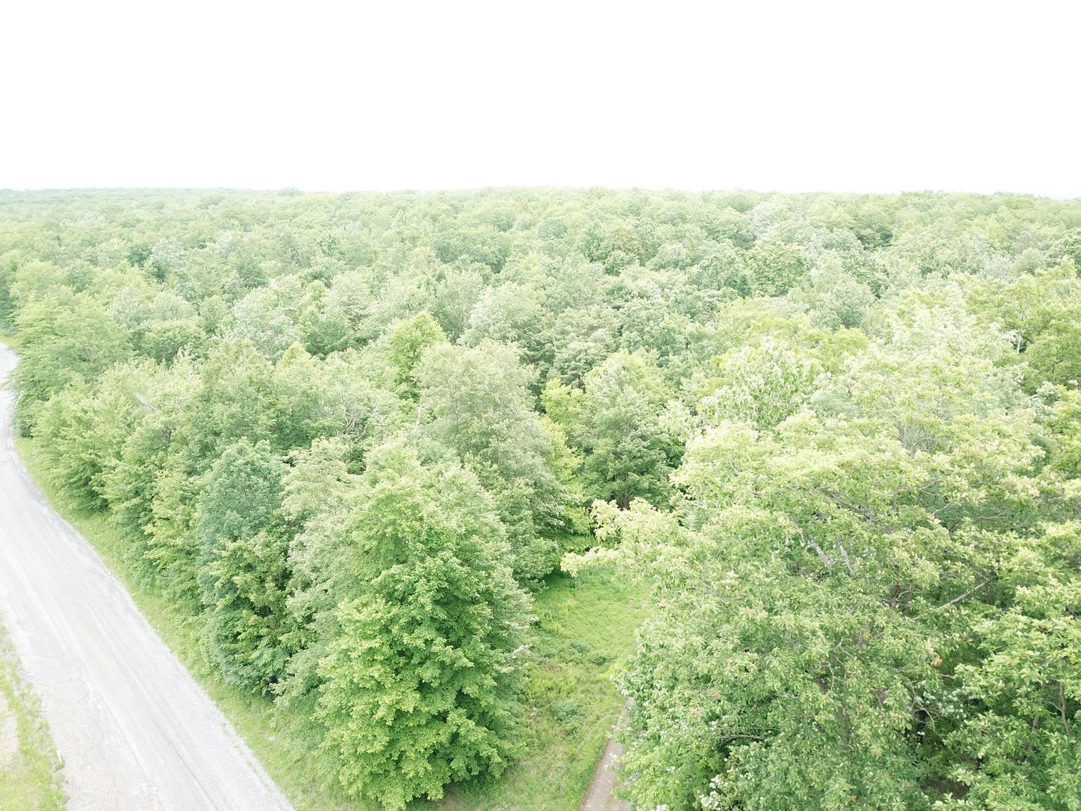 Image for SOLD - Large Tracts of Land Sold to the Highest Bidders