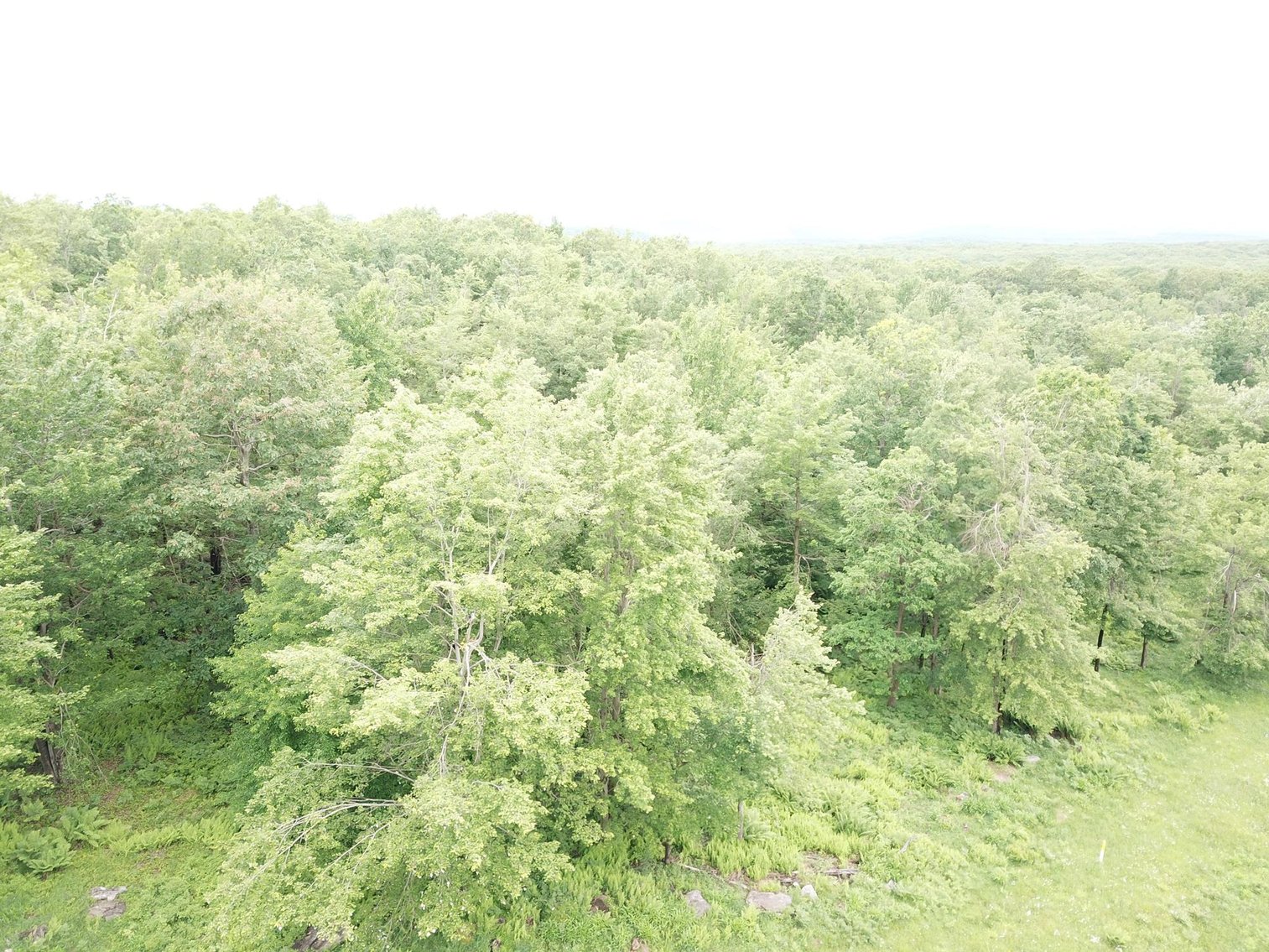 Image for SOLD - Large Tracts of Land Sold to the Highest Bidders