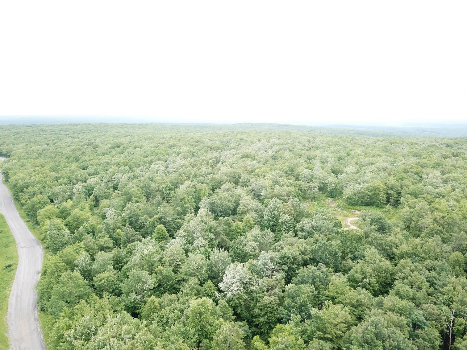 Image for SOLD - Large Tracts of Land Sold to the Highest Bidders