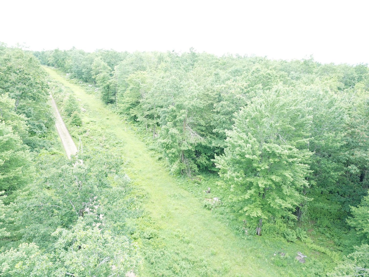 Image for SOLD - Large Tracts of Land Sold to the Highest Bidders