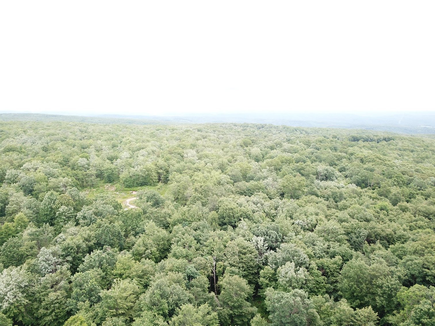 Image for SOLD - Large Tracts of Land Sold to the Highest Bidders