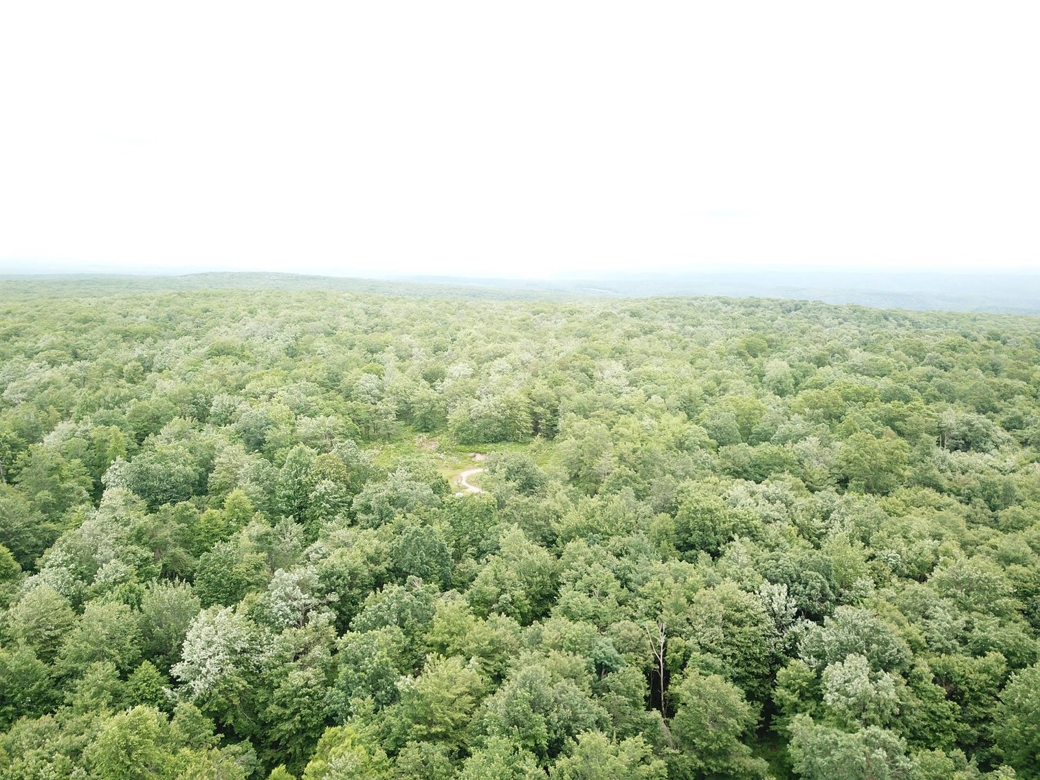 Image for SOLD - Large Tracts of Land Sold to the Highest Bidders