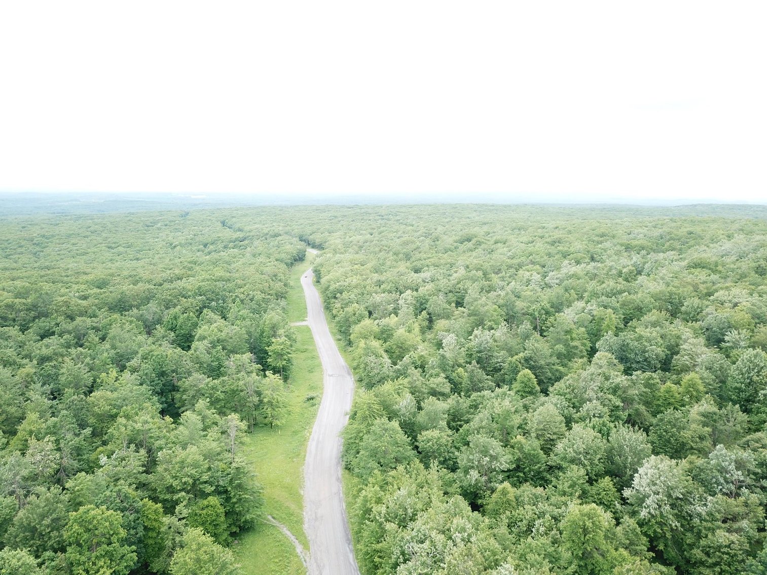 Image for SOLD - Large Tracts of Land Sold to the Highest Bidders