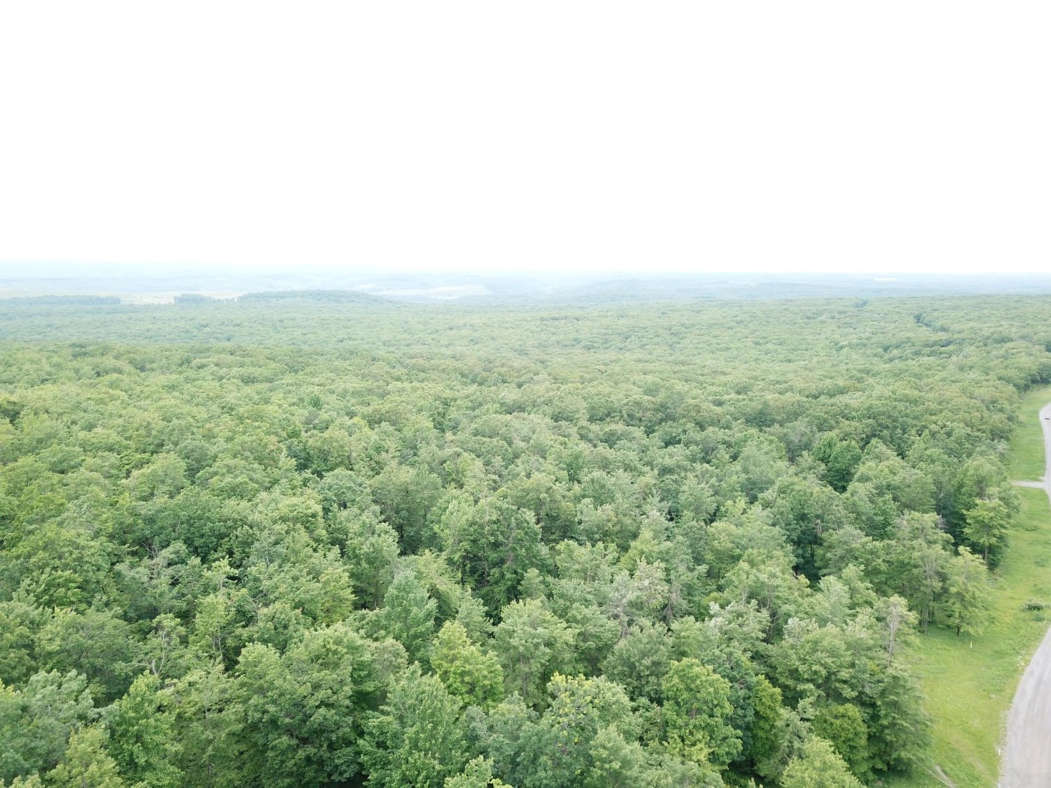 Image for SOLD - Large Tracts of Land Sold to the Highest Bidders