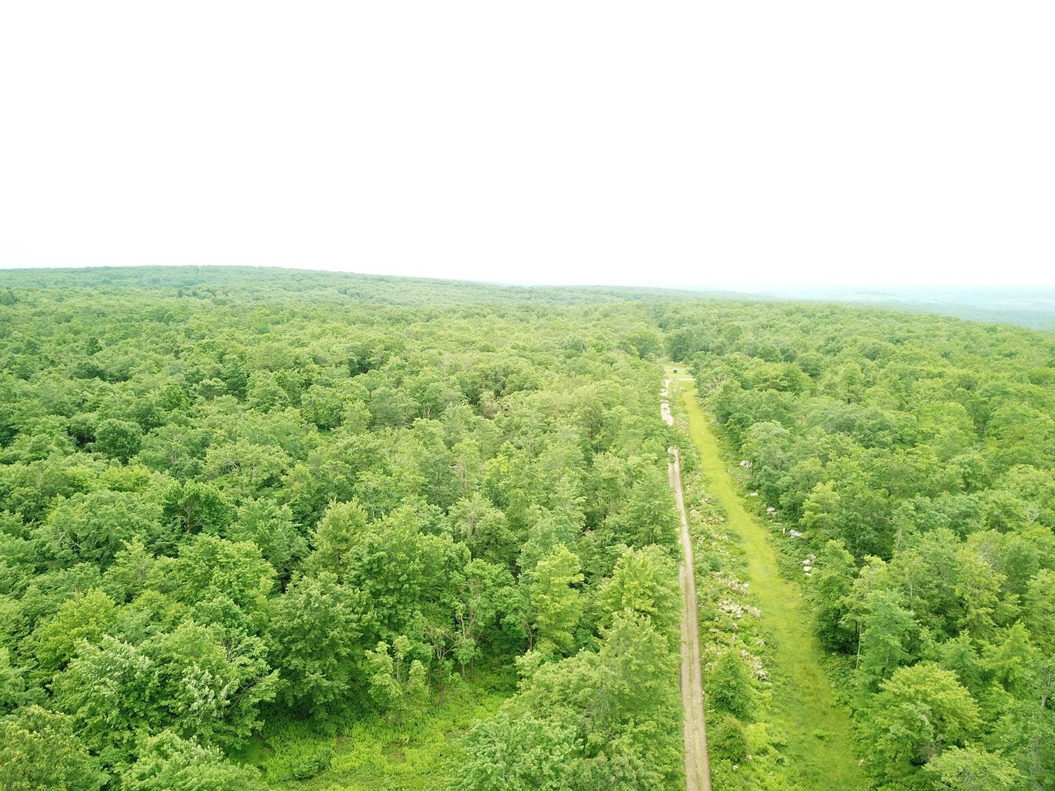 Image for SOLD - Large Tracts of Land Sold to the Highest Bidders