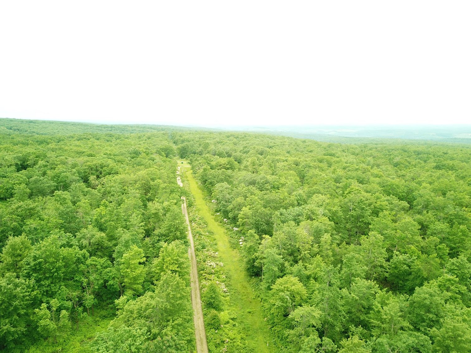 Image for SOLD - Large Tracts of Land Sold to the Highest Bidders