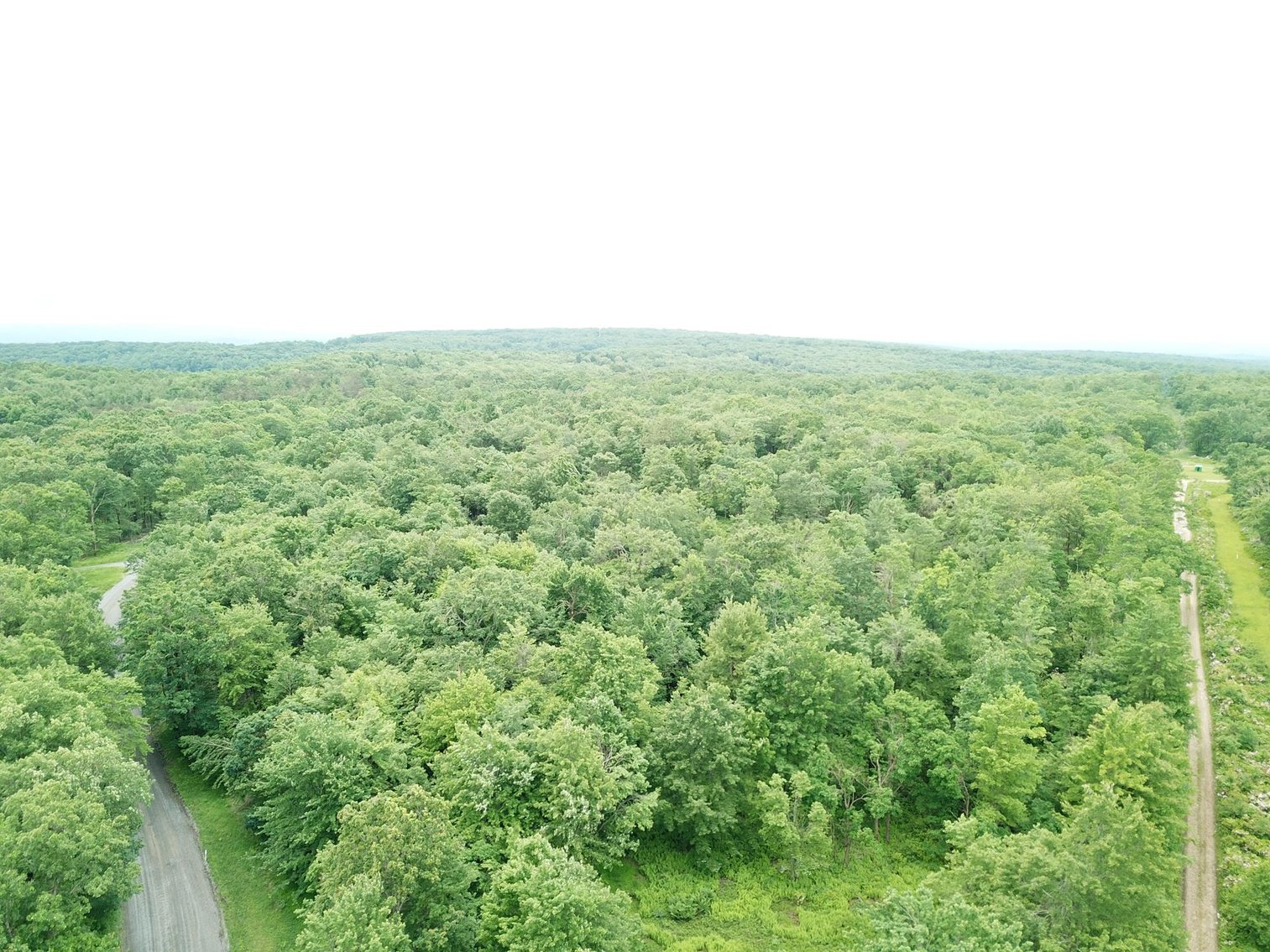 Image for SOLD - Large Tracts of Land Sold to the Highest Bidders