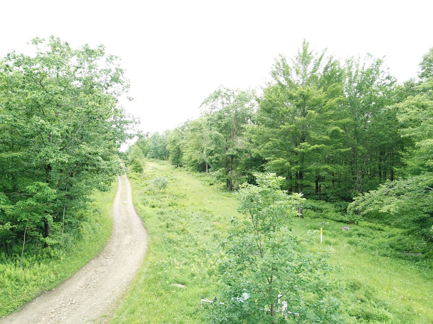 Image for SOLD - Large Tracts of Land Sold to the Highest Bidders