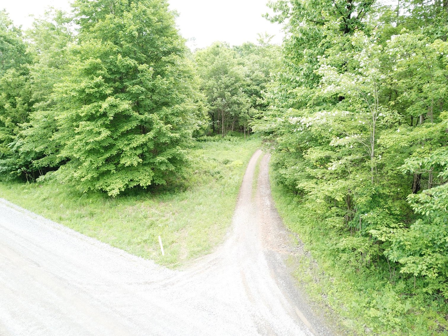 Image for SOLD - Large Tracts of Land Sold to the Highest Bidders