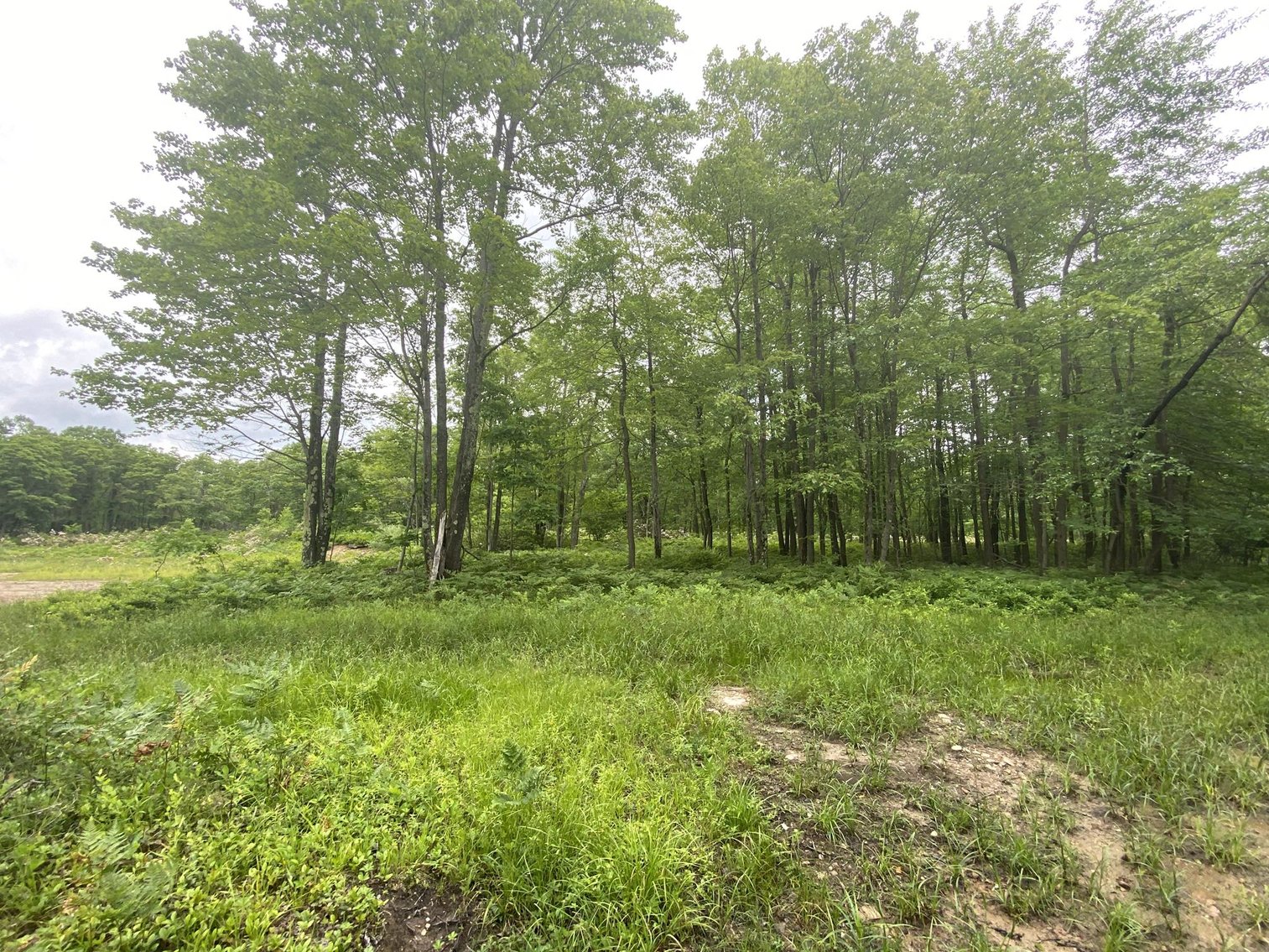 Image for SOLD - Large Tracts of Land Sold to the Highest Bidders