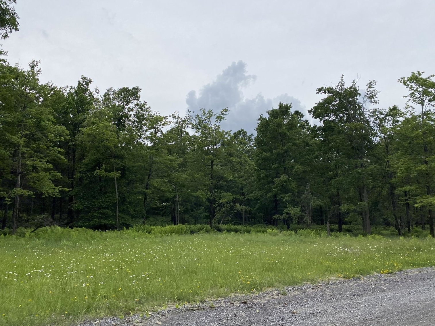 Image for SOLD - Large Tracts of Land Sold to the Highest Bidders