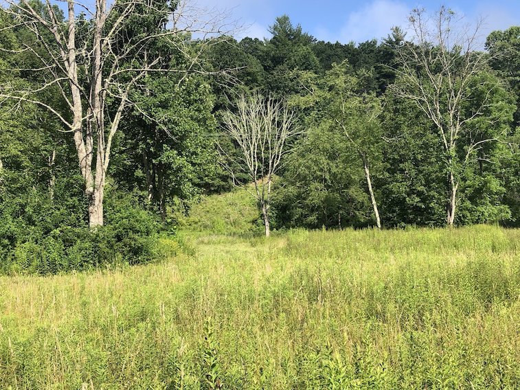 Image for 2 BR/1 BA Log Cabin on 30 +/- Acres Bordering National Forest in Bath County, VA