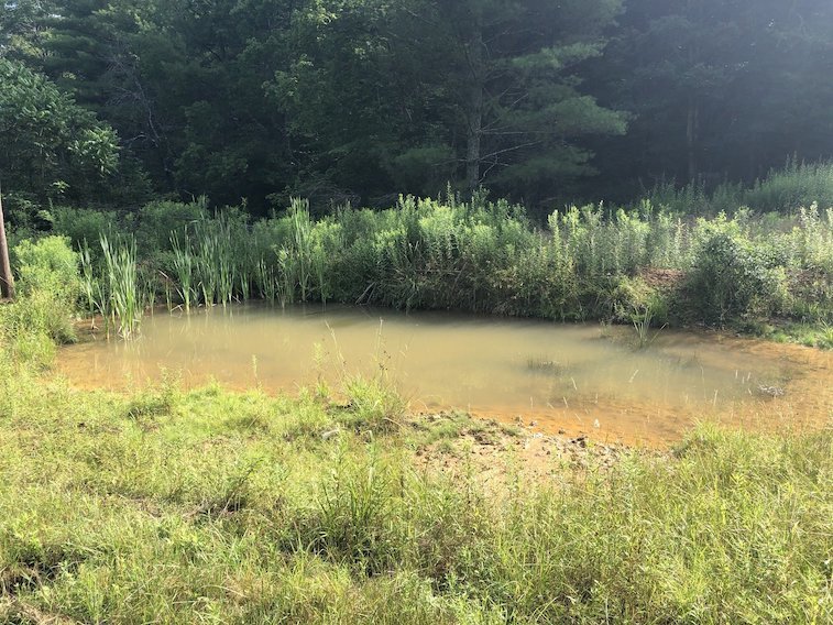 Image for 2 BR/1 BA Log Cabin on 30 +/- Acres Bordering National Forest in Bath County, VA