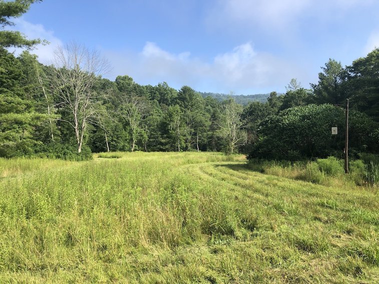 Image for 2 BR/1 BA Log Cabin on 30 +/- Acres Bordering National Forest in Bath County, VA
