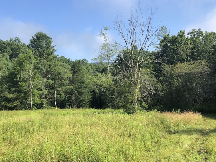 Image for 2 BR/1 BA Log Cabin on 30 +/- Acres Bordering National Forest in Bath County, VA