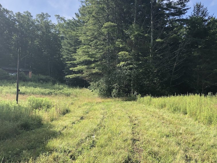 Image for 2 BR/1 BA Log Cabin on 30 +/- Acres Bordering National Forest in Bath County, VA