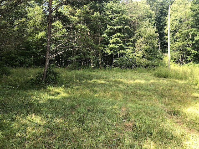 Image for 2 BR/1 BA Log Cabin on 30 +/- Acres Bordering National Forest in Bath County, VA
