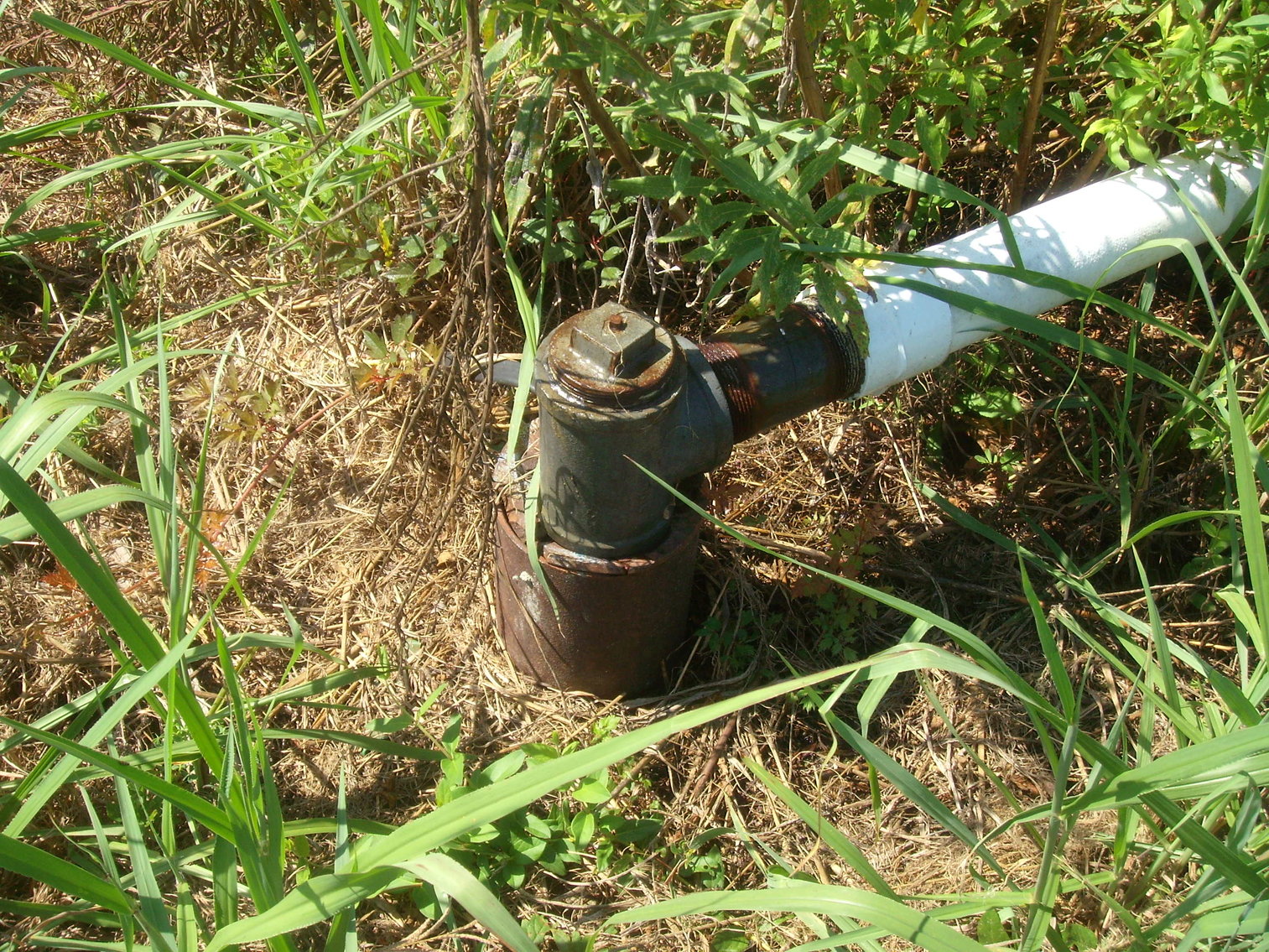 Image for LIVE AUCTION - THURSDAY, SEPTEMBER 10, 2020 @ 7:00 p.m. - 158 Acres in Laurens Co., GA