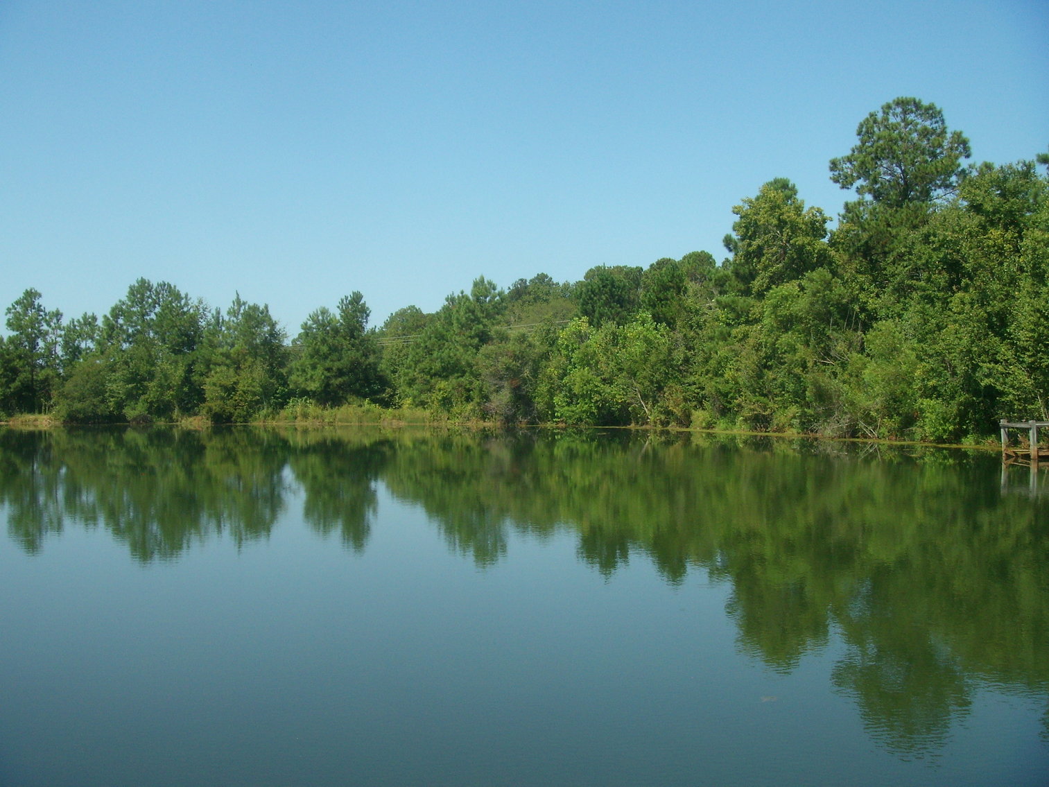 Image for LIVE AUCTION - THURSDAY, SEPTEMBER 10, 2020 @ 7:00 p.m. - 158 Acres in Laurens Co., GA