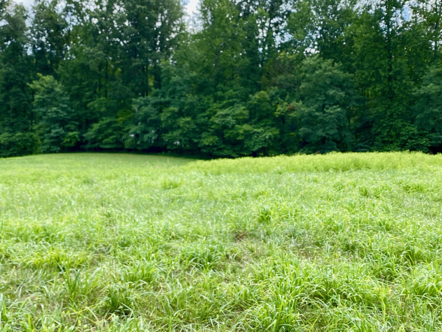 Image for 3 BR/2 BA Brick Home on 8.9 +/- Acres w/Detached Garage/Work Shop & Gorgeous Mountain Views