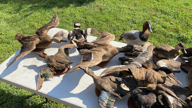 Image for Multi-Estate Virtual Auction