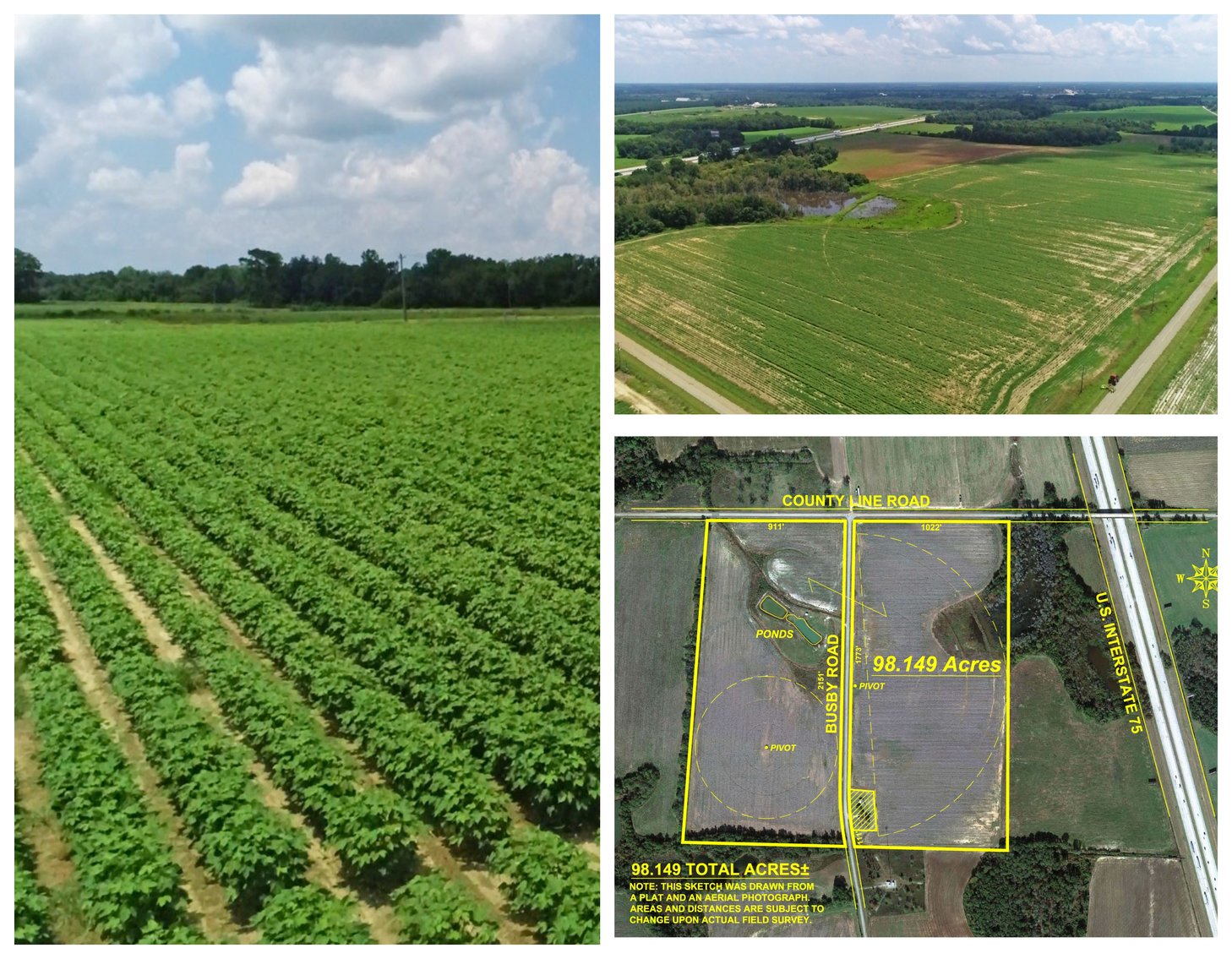 98+/ Acres Dooly County,