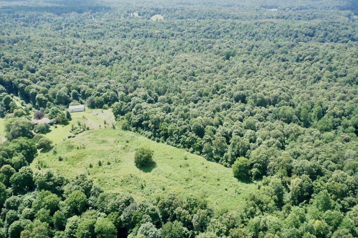 Image for 84+/- Acre Farm Auction