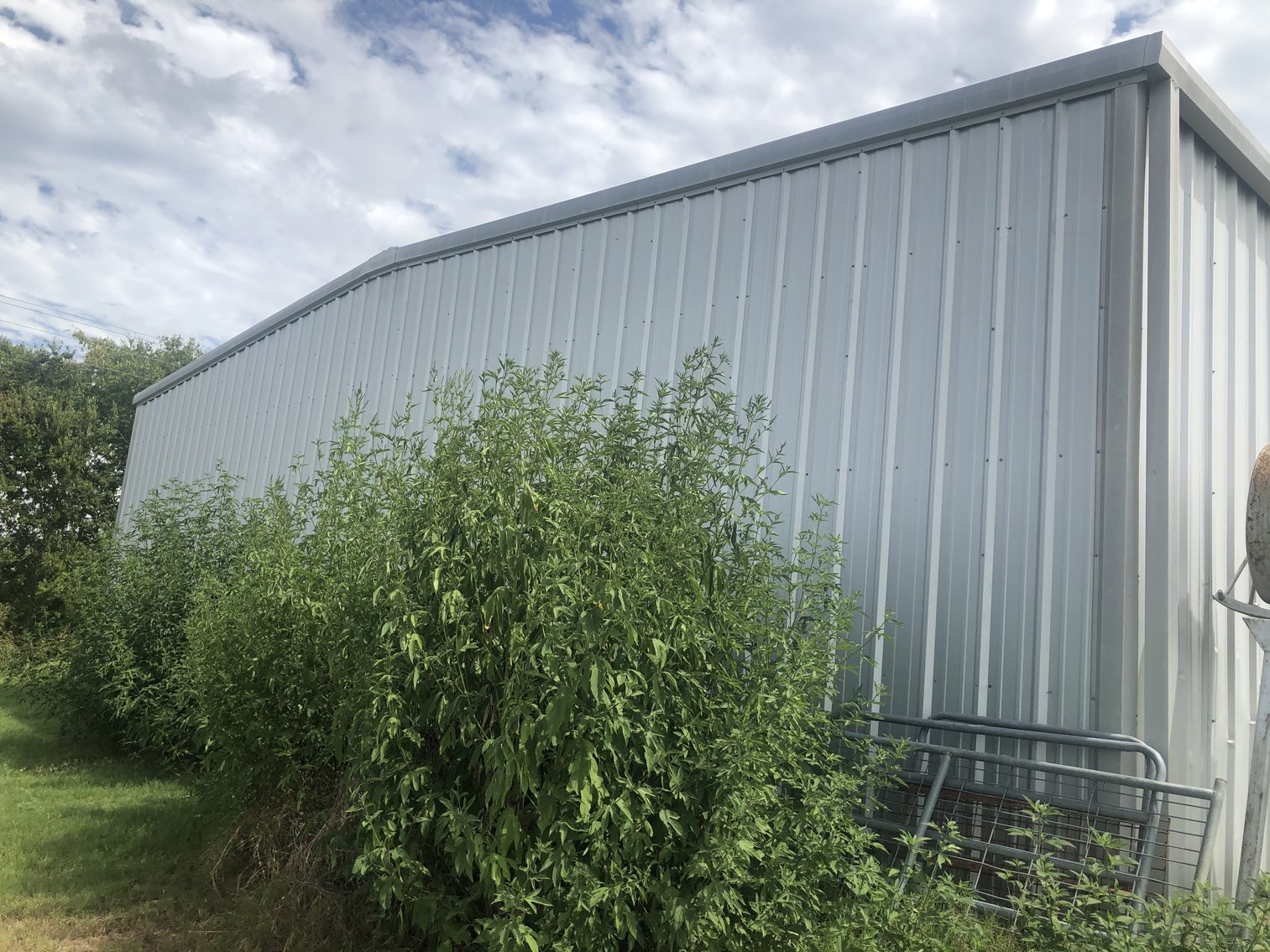 Image for 842 Frank Vacek Lane Schulenburg 78956, Fayette County