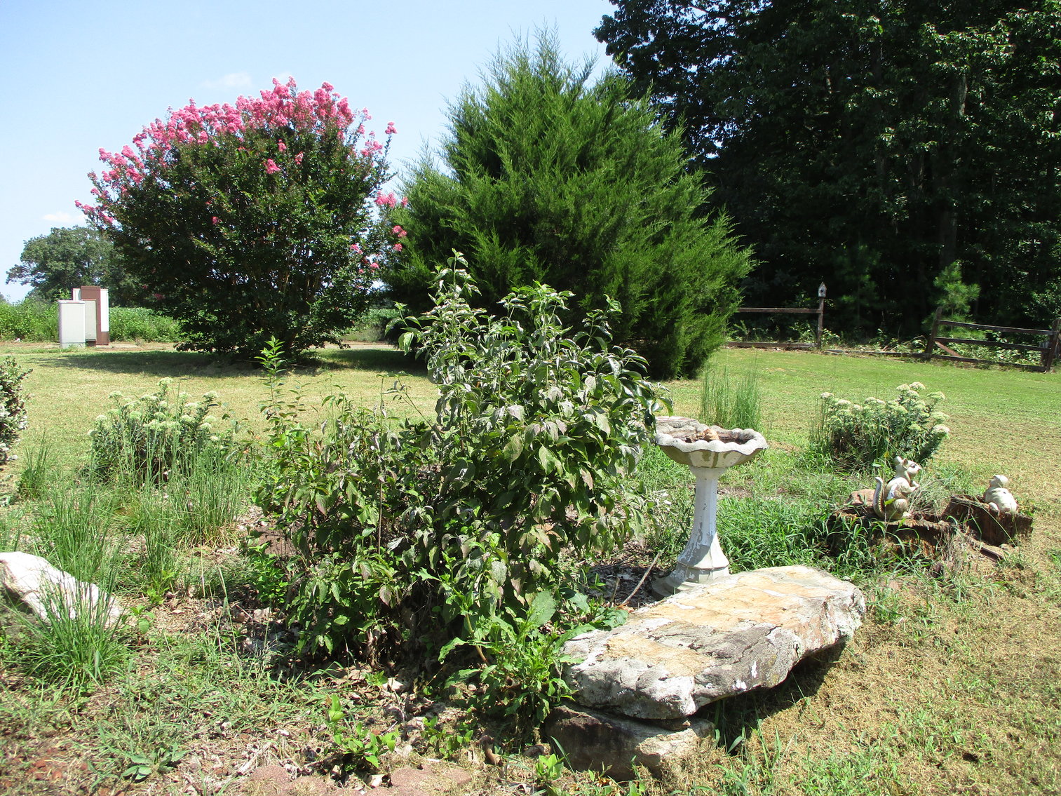 Image for 12157 Mountain Rd