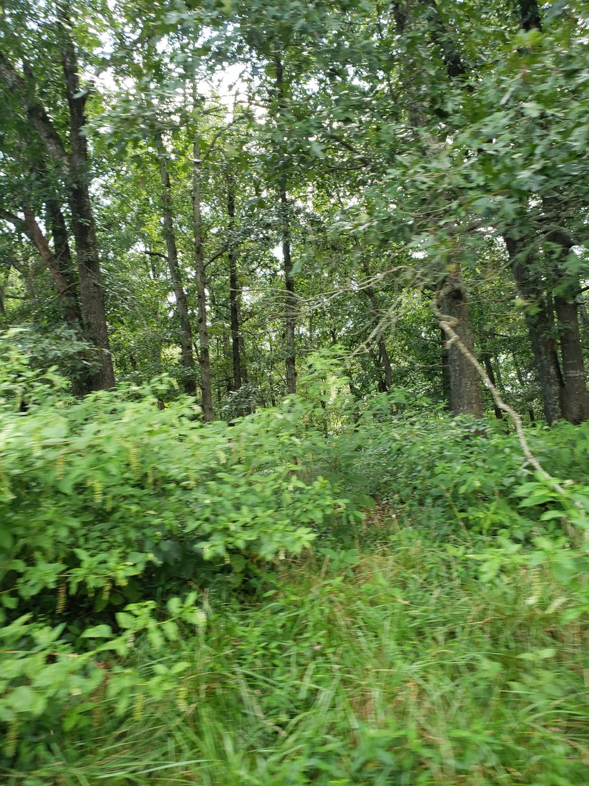 Image for 8846  Bear Creek Rd,  Gladys, VA  24554