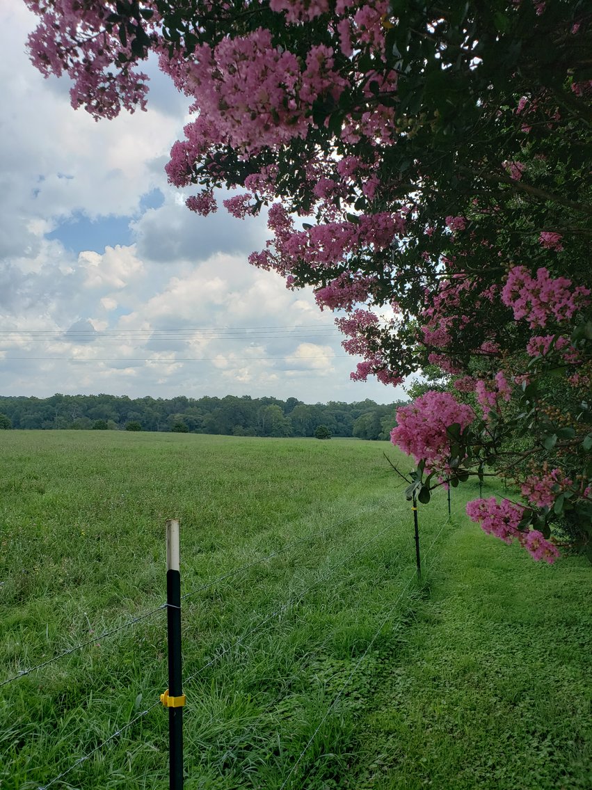 Image for 8846  Bear Creek Rd,  Gladys, VA  24554