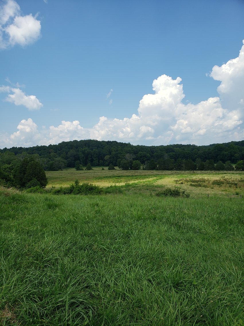 Image for 8846  Bear Creek Rd,  Gladys, VA  24554