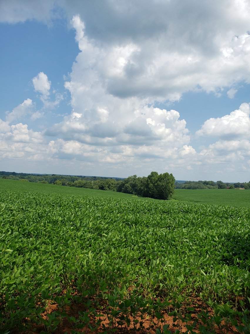 Image for 8846  Bear Creek Rd,  Gladys, VA  24554