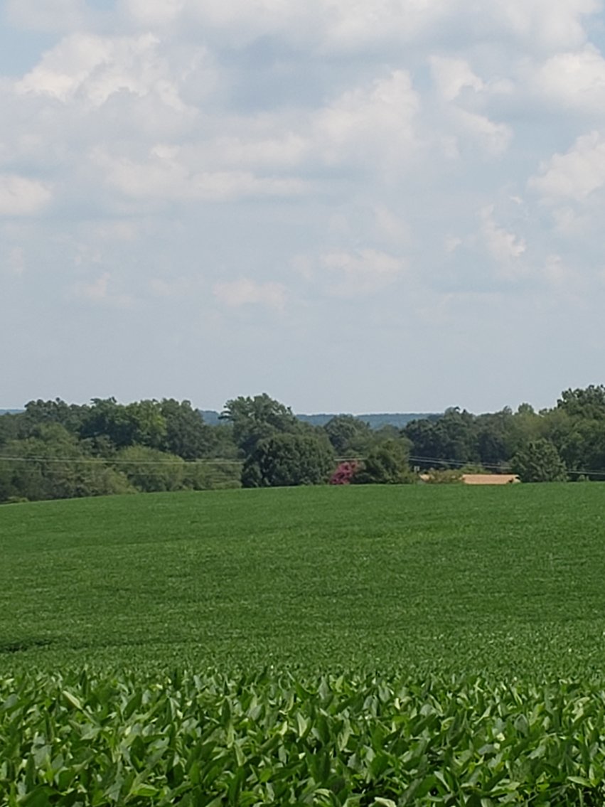 Image for 8846  Bear Creek Rd,  Gladys, VA  24554